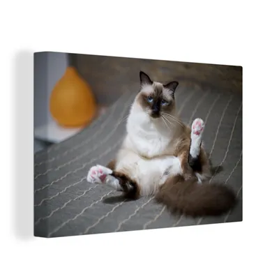Produktbild von OneMillionCanvasses® - Leinwandbilder - 150x100 cm, Katze - Fell - Braun, Wandbilder Kunstdruck Wanddekoration