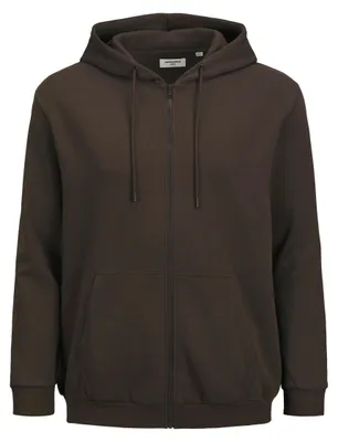Productafbeelding van JACK & JONES Hoodie voor heren, met capuchon