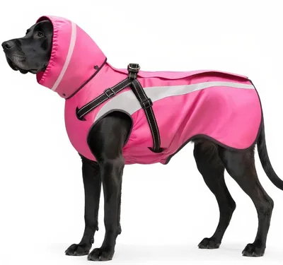 Immagine prodotto di Omgoods - Giacca impermeabile per cani, con elementi riflettenti e cappuccio