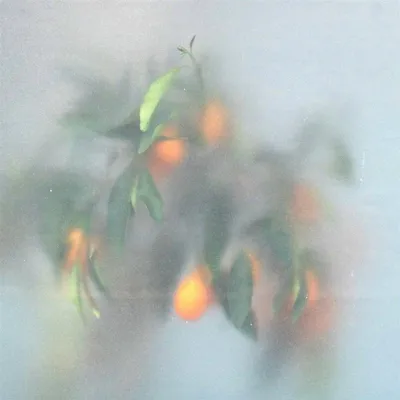 Produktbild von Secret Garden