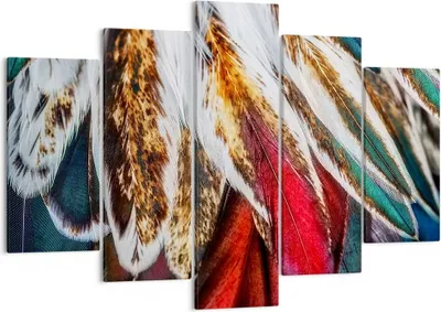 Produktbild von Bild auf Leinwand - Leinwandbild - Federn Federn Vogel - 150x100cm - Wand Bild - Wanddeko - Leinwanddruck - Bilder - Kunstdruck - Wanddekoration - Leinwand bilder - Wandkunst - EA150x100-3743