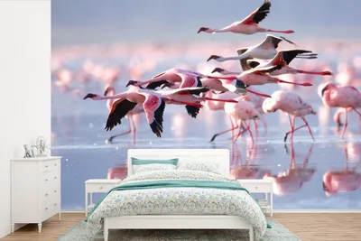 Produktbild von MuchoWow® Fototapete für Wohnzimmer oder Schlafzimmer Wandtapete Vinyl Motivtapete Rosa Flamingos auf dem Wasser - 450x300 cm - Gemusterte