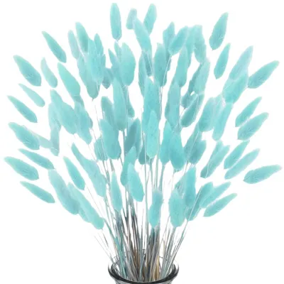 Trockenblumen Pampasgras 60 Stück 42 cm blau