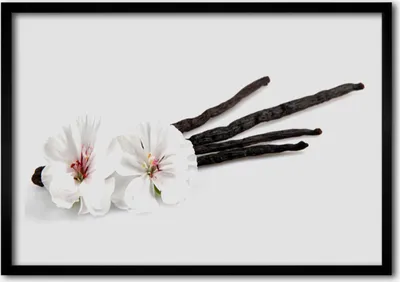 Produktbild von Bild 70x50 MDF-Rahmen Wandkunst Natur Blume Pflanze