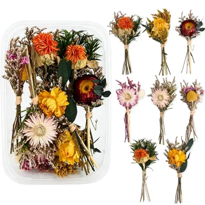 8 Mini-Trockenblumensträuße, 12 cm, bunt, für DIY & Deko