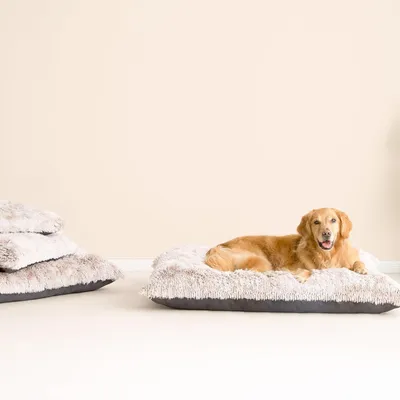 Image de Coussin pour chien, grande taille - Tapis pour chien - Lit pour chien - Coussin pour animaux - Coussin pour animaux de compagnie - Doux et moelleux