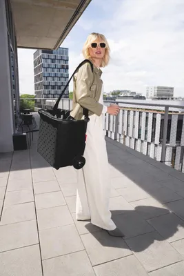 Produktbild von Reisenthel Carrycruiser Frame Glossy Dots