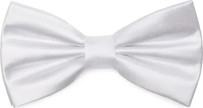 Produktbild von Ladeheid Elegante Herren Fliege -Hochwertig Glänzend Verstellbar BMS (12cmx6cm)