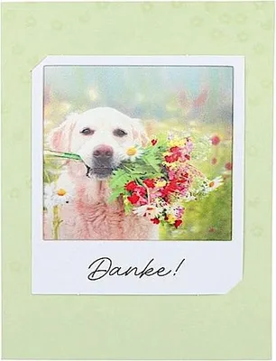 Produktbild von Depesche 3D Polaroid Klappkarte \Danke!\" - ein Stück"