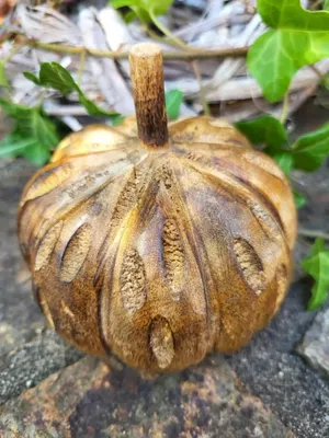Produktbild von Holzkürbis, klein Holzkürbis, klein - d = 10 cm