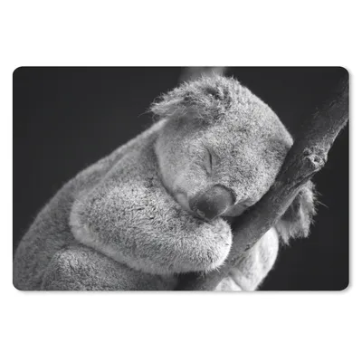 Produktbild von MuchoWow® Schreibtischunterlage Schlafender Koala auf schwarzem Hintergrund 60x40 cm - XXL Mauspad - Großes Mauspad