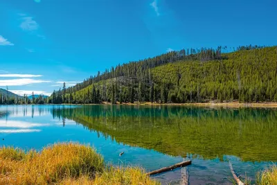 Zdjęcie produktu dla Dimex, fototapeta MS-5-3044 Park Narodowy Yellowstone 375 x 250 cm