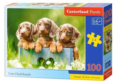 Zdjęcie produktu dla Castorland B-111213, 100 szt., Animals, 6 lat(a)