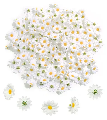 Produktbild von Kunstblumen Gänseblümchen - 200 Stück Blütenköpfe aus Seide - Dekoration für Haus Garten und Bastelarbeiten - 4 cm Weiß