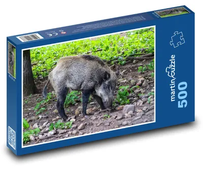 Zdjęcie produktu dla martinpuzzle - Puzzle 500 - Divočák