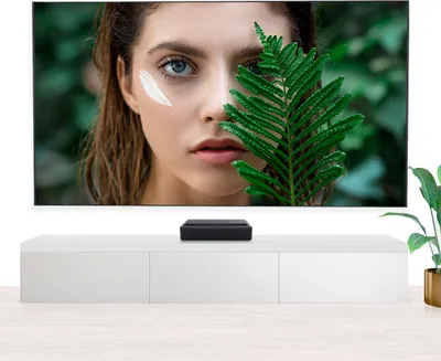 A woman's face is partially obscured by a green fern leaf, with a white stripe of cream on her cheek. The image is displayed on a large screen above a white media console. A small black device sits on the console.