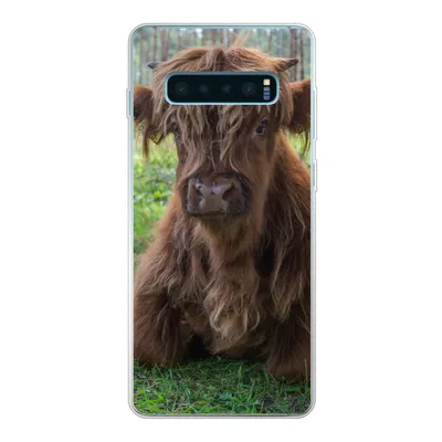 Produktbild von MuchoWow® Handyhülle Schutzhülle Hülle für Samsung Galaxy S10 Lite Schottischer Highlander - Kröte - Tiere Silikon Softcase Handy Hülle - Schutz