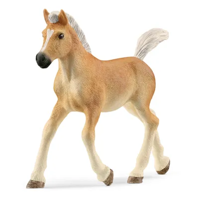 Immagine prodotto di Puledro avelignese Schleich