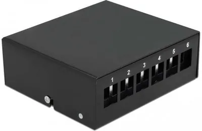 Produktbild von Delock Keystone Patchpanel 6 Port schwarz
