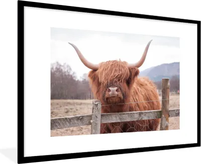 Produktbild von MuchoWow® Gerahmtes Poster Scottish Highlander - Gras - Zaun 90x60 cm - Poster mit Schwarzem Bilderrahmen Wandposter Rahmen Foto Bilder - Wanddekoration - Fotos