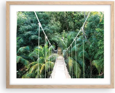 Produktbild von Gerahmtes Poster - Rahmen in heller Eiche - Tropen Dschungel Brücke - 50x40 cm - Wand Bild - Wanddeko - Wandbilder - Kunstposter - Wandposter - Bilderrahmen - Bilder - Kunstdruck - P2NAA50x40-4963