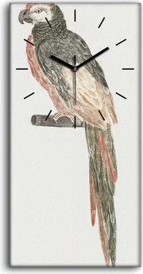 Produktbild von Dekor Leinwand Uhr Wandbilder 30x60 Zeichnung Tier Vogel Papagei Zweig - schwarze Hände