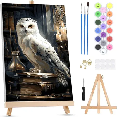 Productafbeelding van Schilderen op nummer voor volwassenen op ingelijst canvas, met ezel, witte uil, schilderen op nummer, toverboek