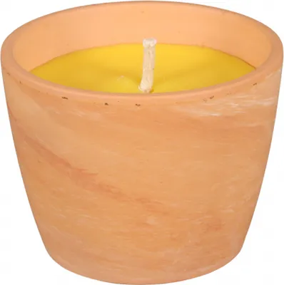 Image de CITRONELLA GUZMANIA bougie avec 1 mèche 250g d10x8cm