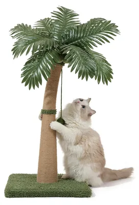 Immagine prodotto di Albero per gatti da 92 cm con palline interattive in sisal naturale