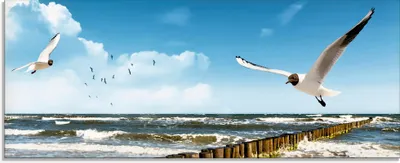 Produktbild von ARTland Glasbild Ostsee Größe: 125x50 cm