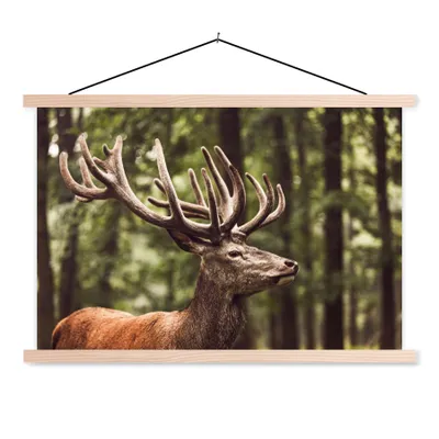 Produktbild von MuchoWow® Textilposter Hirsch - Natur - Geweih - Wald - Tiere 60x40 cm mit holzfarbenen Rahmen - Bilder