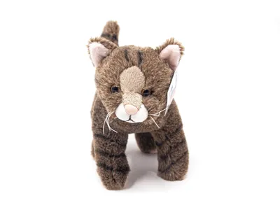 A plush toy cat standing on a white background.