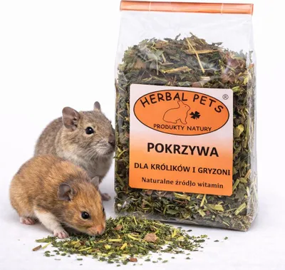 Zdjęcie produktu dla Pokrzywa dla Królików i Gryzoni - Naturalna Siła i Zdrowie 70g