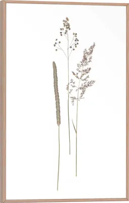 Produktbild von Wandbild - 30 x 20 cm - Weiß - Braun - mit getrockneten Blumen als Motiv