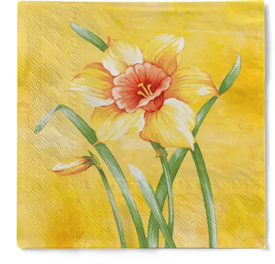 Produktbild von Tissue Serviette Elvira, 3-lagig, 40 x 40 cm, 100 Stück - Mank - Floral