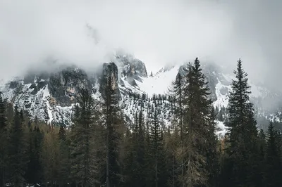 Zdjęcie produktu dla Fototapeta Krajobraz z widokiem na Zamglone Góry Las Tropikalna Ozdoba Egzotyczna Natura Modny efekt 3D 208x146cm