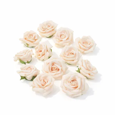 Produktbild von 12 Rosenblüten 5 cm Schaumrosen Rosenköpfe Foam Blütenköpfe Streudeko Basteln champagner