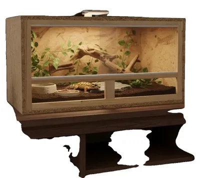 Image de Terrarium, structure en bois, design polyvalent, vert militaire
