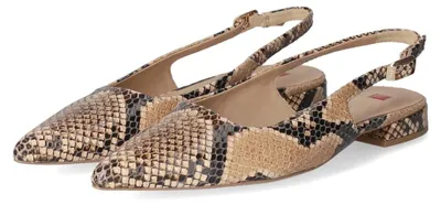 Productafbeelding van Högl dames ballerina's, beige, glad leer, maat 36