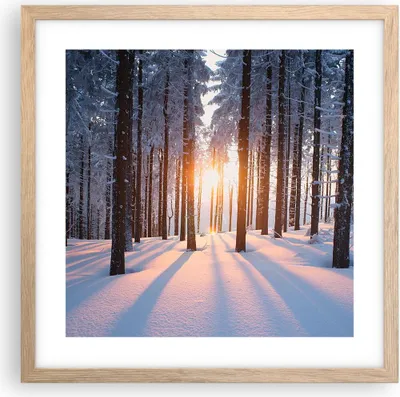 Produktbild von Gerahmtes Poster - Rahmen in heller Eiche - Wald Winter Schnee - 40x40 cm - Wand Bild - Wanddeko - Wandbilder - Wandposter - Bilderrahmen - Bilder - Kunstdruck - Wandbild - P2NAC40x40-3629