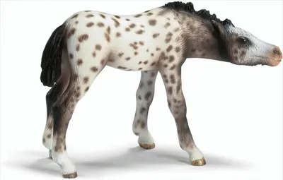 Produktbild von Schleich 13619 Knabstrupper Fohlen, saugend