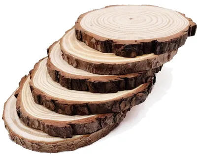 Produktbild von Holzscheiben Rustikal 6 Stück 16-17 cm Kiefer Unlackiert Basteln DIY Deko
