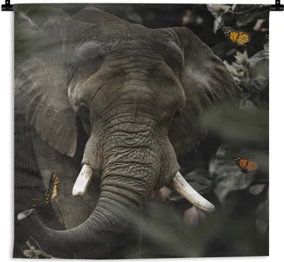 Produktbild von MuchoWow® Wandteppich Wandbehang Tiere - Elefant - Schmetterlinge 150x150 cm Tapisserie Dekoration Wandtuch - Wohnaccessoires - Modernes