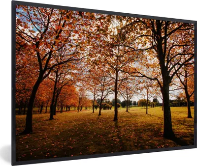 Produktbild von MuchoWow® Gerahmtes Poster Herbst - Herbstblätter - Natur 90x60 cm - Poster mit Schwarzem Bilderrahmen Wandposter Rahmen Foto Bilder - Fotorahmen - Foto-Plakat