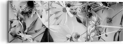 Produktbild von Bild auf Leinwand - Leinwandbild - 3 Teile - Blumen Schwarzweiß Fotografie - 120x40cm - Wand Bild - Wanddeko - Wandbilder - Leinwanddruck - Bilder - Wanddekoration - Leinwand bilder - CA120x40-4740