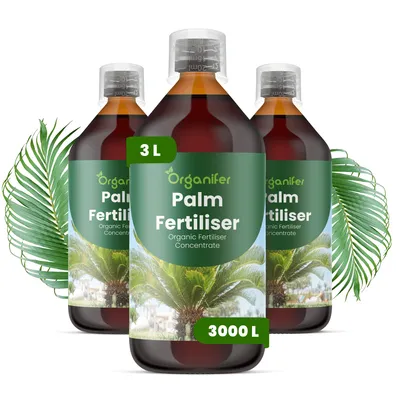 Obrázek produktu pro Palmy Tekuté Hnojivo 3x1 L – 2-1-8 NPK – Pro Palmy – Podporuje Rovnomerný Růst & Silnú Listovú Štruktúru – Organifer