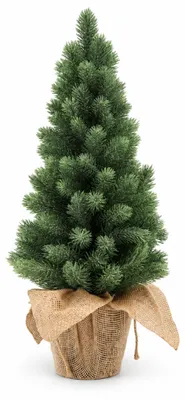 Immagine prodotto di Aga Albero di Natale artificiale in vaso 55 cm
