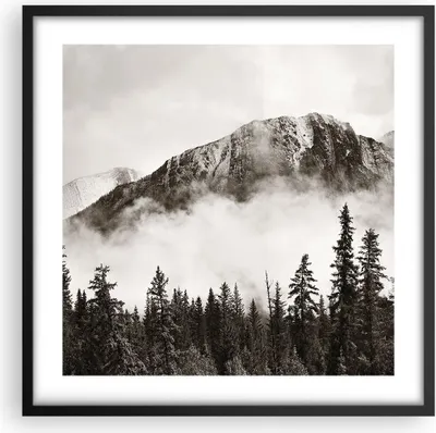 Produktbild von Gerahmtes Poster - Schwarzer Rahmen - Nebel Berg Wald - 50x50 cm - Wand Bild - Wanddeko - Wandbilder - Kunstposter - Wandposter - Bilderrahmen - Bilder - Kunstdruck - Wanddekoration - P2BAC50x50-4936