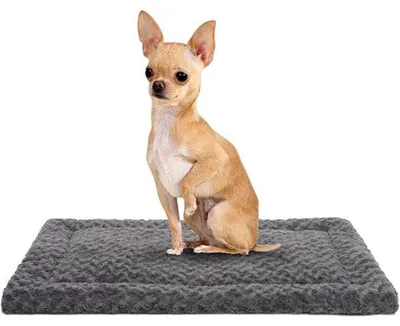 Immagine prodotto di Tappetino lavabile per cani, dimensioni S, 60x45 cm, colore grigio scuro