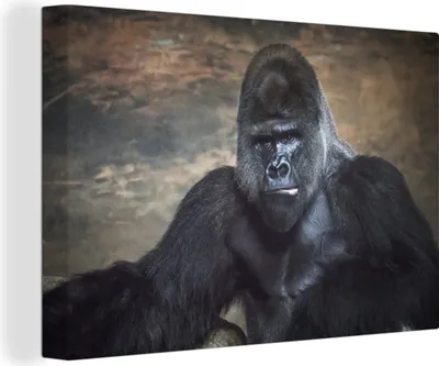 Produktbild von OneMillionCanvasses® - Leinwandbilder - 150x100 cm, Porträtbild eines schwarzen Gorillas, Wandbilder Kunstdruck Wanddekoration